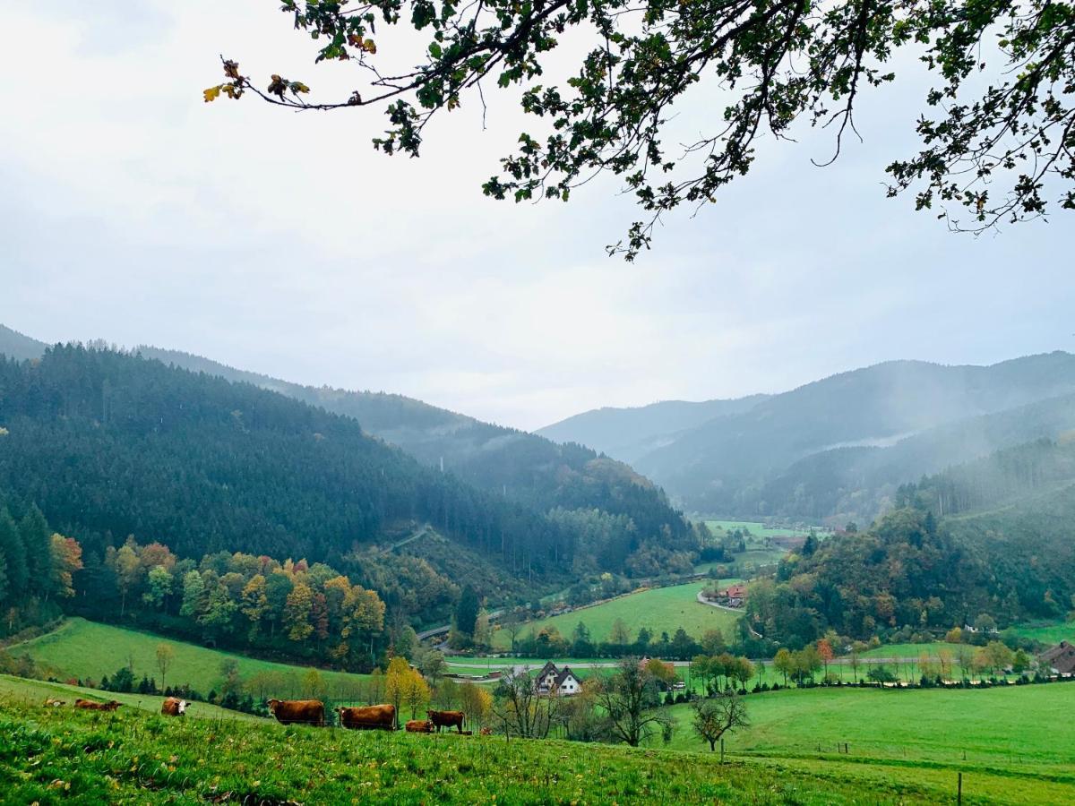 Landhotel Hirschen Oberwolfach Luaran gambar