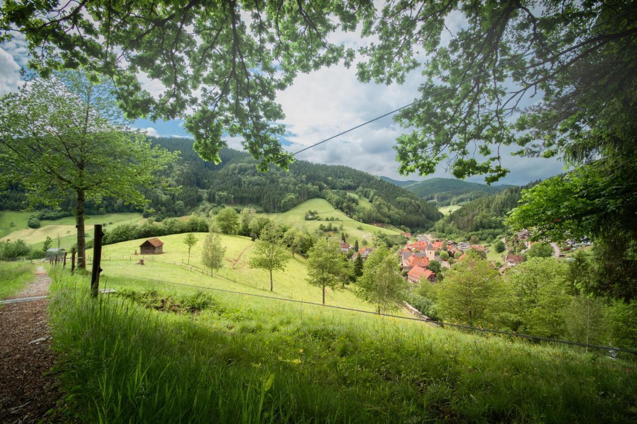 Landhotel Hirschen Oberwolfach Luaran gambar